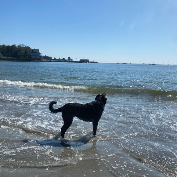 NEW INVENTORY 🌞 - Picture 5 of 15